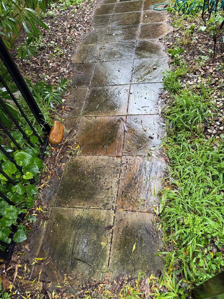 Paved path half cleaned by pressure washing